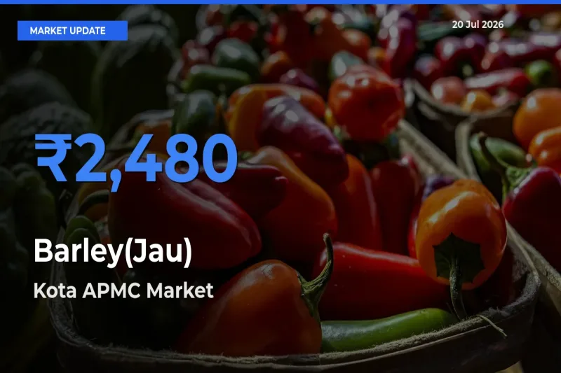 Kota APMC Records Highest ₹2,480 Rate for Barley(Jau)