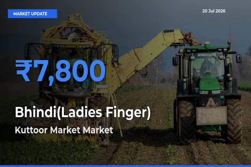 Kuttoor Market Tops Bhindi(Ladies Finger) Mandi Rates Today