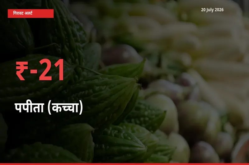 तेज़ गिरावट! मंडी में पपीता (कच्चा) के दाम 21.43% लुढ़के