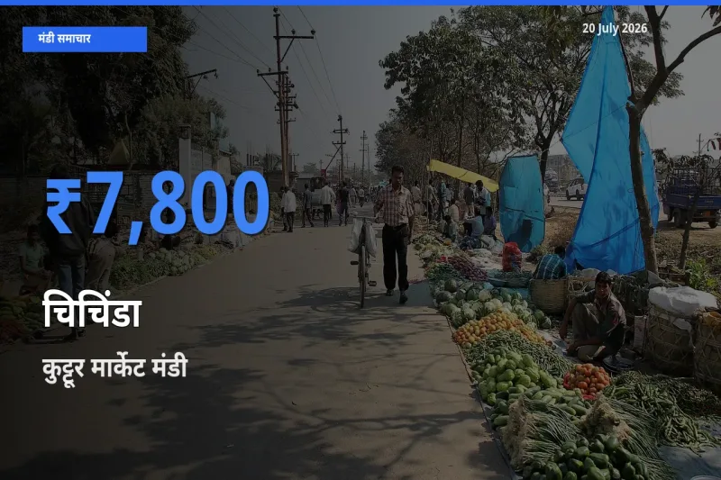 कुट्टूर मार्केट में चिचिंडा का आज सबसे ऊँचा भाव