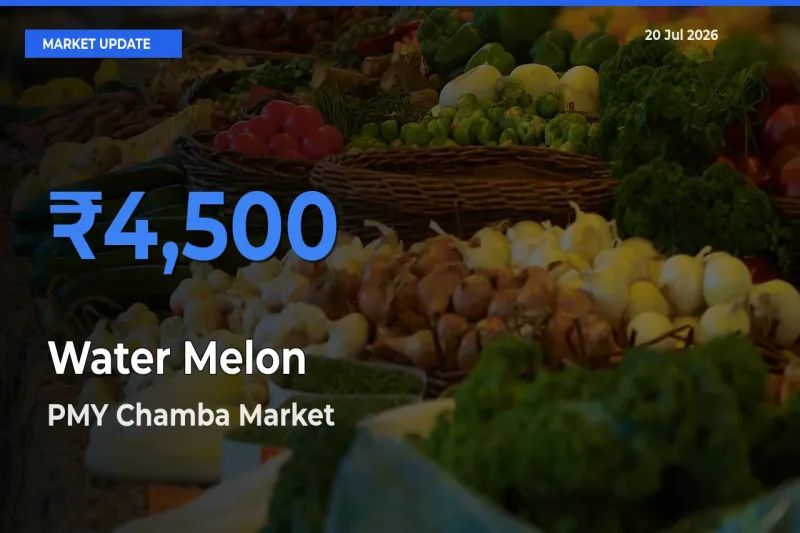PMY Chamba Records Highest ₹4,500 Rate for Water Melon