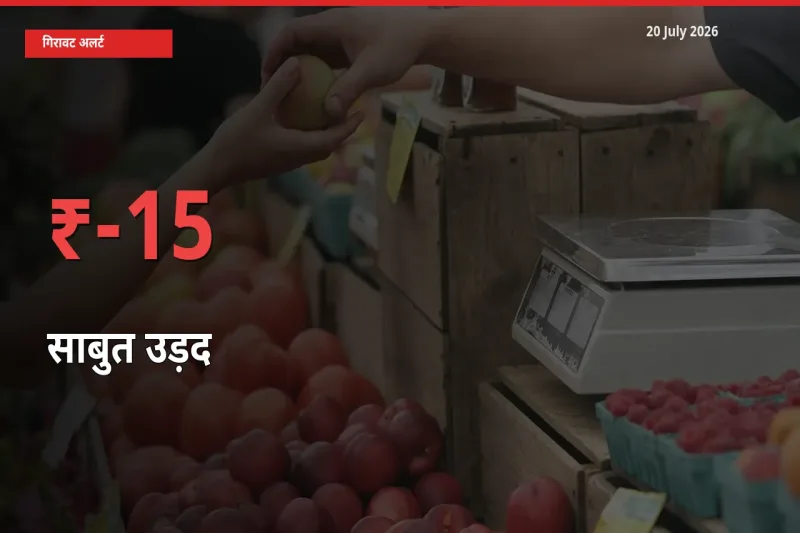 20 July अपडेट: साबुत उड़द के दाम मंडी में 15.06% गिरे