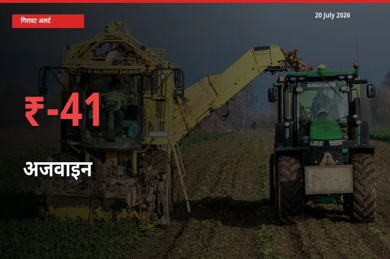 स्थानीय मंडी में अजवाइन के दाम अचानक 41.23% गिरे, किसानों की चिंता बढ़ी