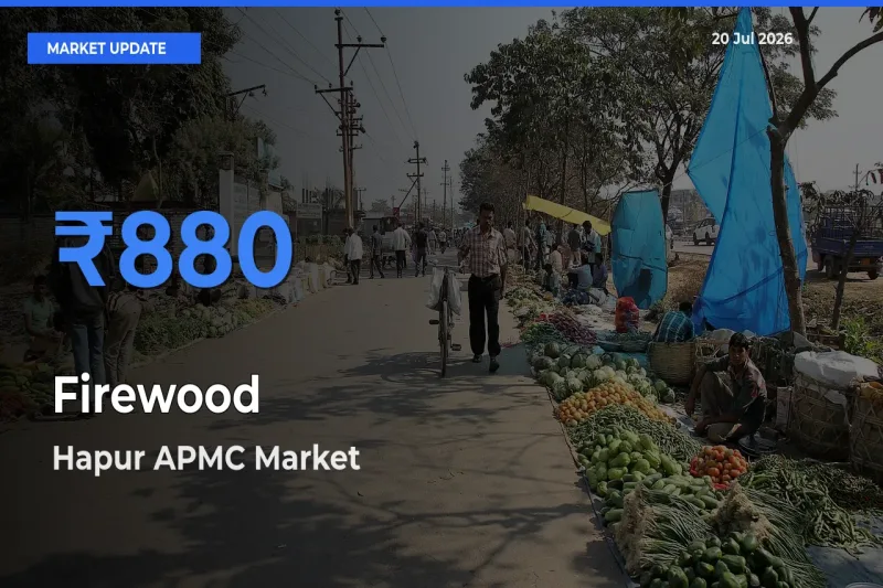 Hapur APMC Tops Firewood Rates – July 20 Market Update