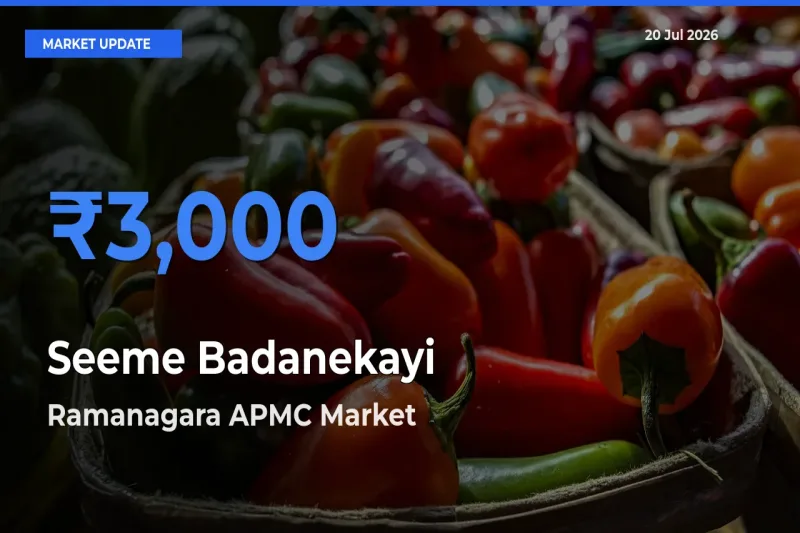 Farmers Prefer Ramanagara APMC as Seeme Badanekayi Hits Highest Rate