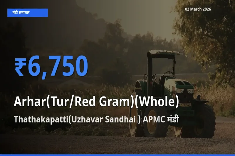02 March अपडेट: Arhar(Tur/Red Gram)(Whole) के सबसे ऊँचे दाम Thathakapatti(Uzhavar Sandhai ) APMC मंडी में