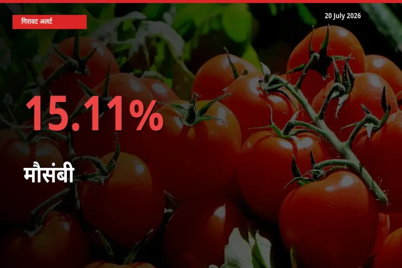 20 July अपडेट: मौसंबी के दाम मंडी में 15.11% गिरे