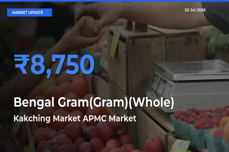 Kakching Market APMC Tops Bengal Gram(Gram)(Whole) Mandi Rates Today