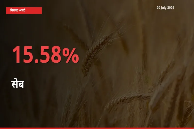20 July अपडेट: सेब के दाम मंडी में 15.58% गिरे