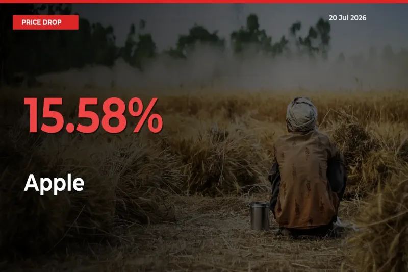 Apple Mandi Rate Today: Prices Fall 15.58% at Market