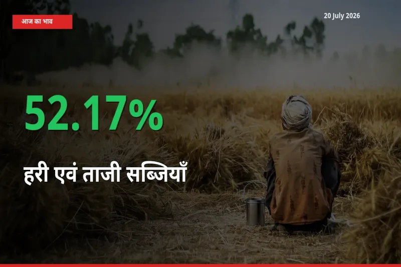 आज का मंडी भाव: हरी एवं ताजी सब्जियाँ के दाम मंडी में 52.17% ऊपर