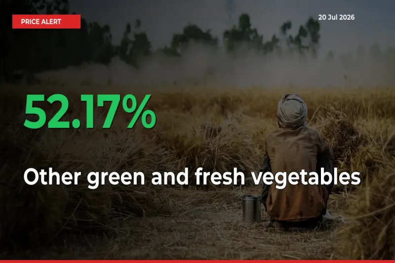 Big Rally! Other green and fresh vegetables Climbs 52.17% in 24 Hours at Top Mandis