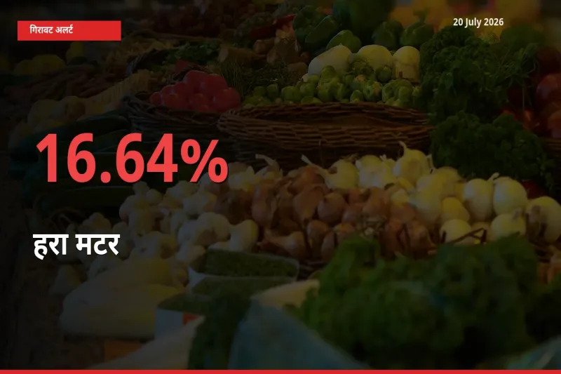 20 July अपडेट: हरा मटर के दाम मंडी में 16.64% गिरे