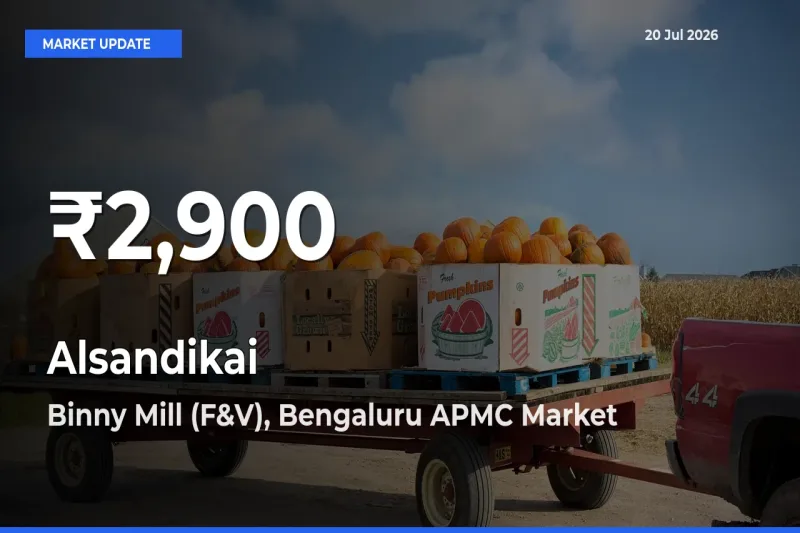 Alsandikai Hits 30-Day Low in Binny Mill (F&V), Bengaluru APMC