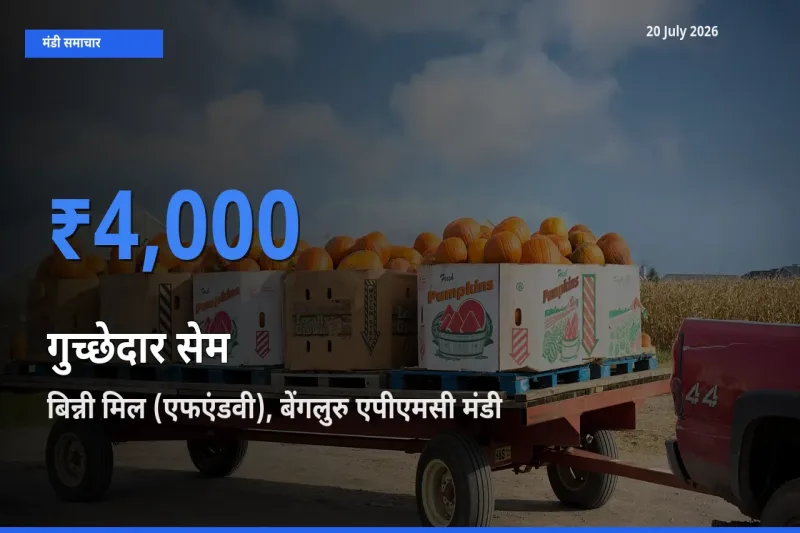 बाज़ार संकेत: बिन्नी मिल (एफएंडवी), बेंगलुरु एपीएमसी बना गुच्छेदार सेम के लिए आज की टॉप मंडी