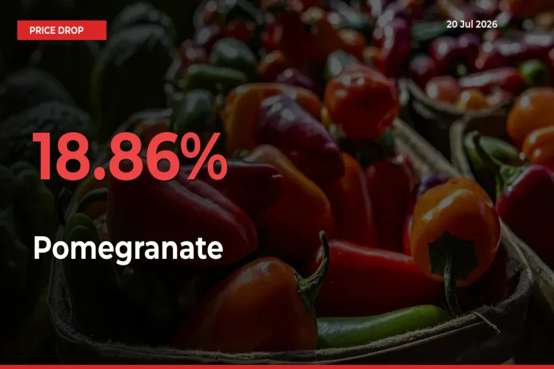 Farmers Alert as Pomegranate Prices Slide 18.86% in Local Mandis