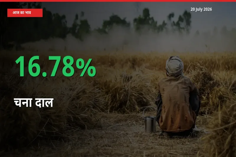 अचानक तेजी! मंडी में चना दाल के दाम 16.78% चढ़े