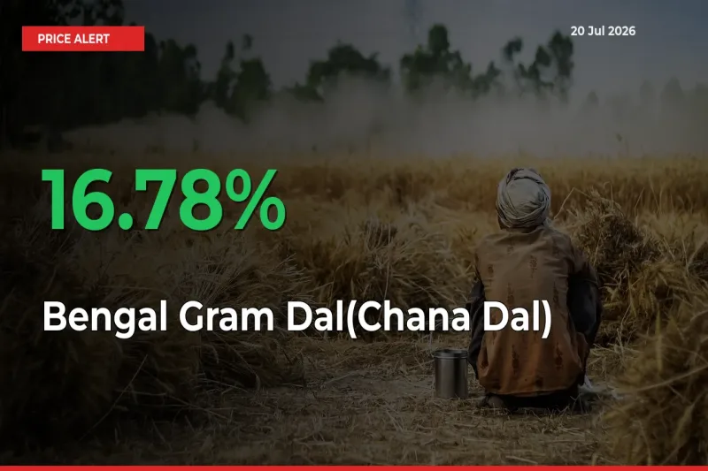Why Bengal Gram Dal(Chana Dal) Prices Rose 16.78% in a Day at Mandis