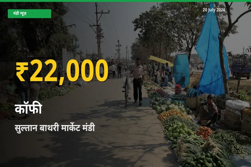 किसानों के लिए खुशखबरी! सुल्तान बाथरी मार्केट में कॉफी के दाम रिकॉर्ड स्तर पर