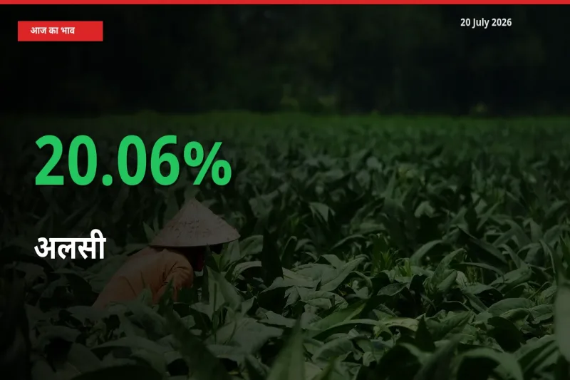 तेज़ तेजी! मंडी में अलसी के दाम 20.06% चढ़े
