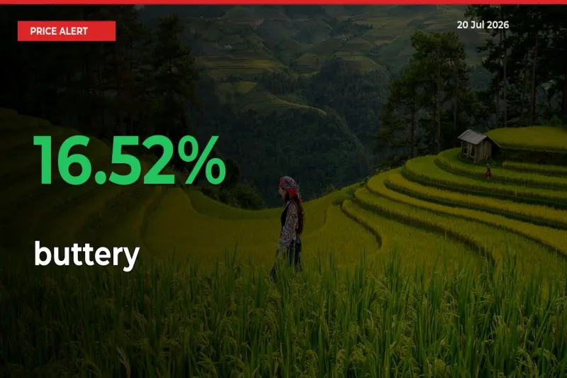 buttery Prices Rise 16.52% in a Day at Major Mandis