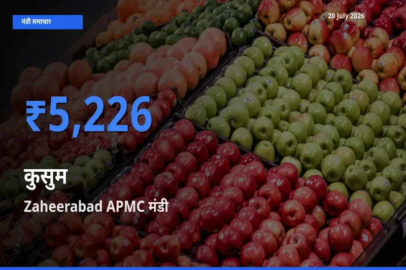 20 July अपडेट: कुसुम के सबसे ऊँचे दाम Zaheerabad APMC मंडी में