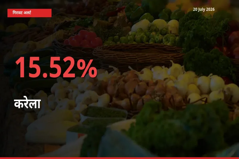 किसानों की चिंता बढ़ी! स्थानीय मंडी में करेला 15.52% गिरा