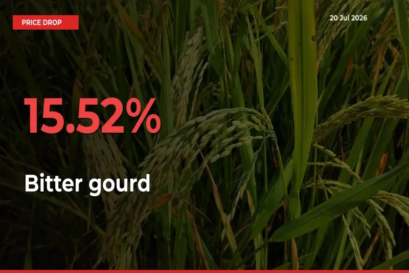 Bitter gourd Mandi Rate Today: Prices Fall 15.52% at Market