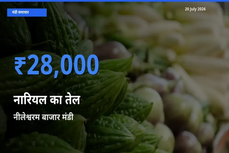 आज नारियल का तेल के सबसे ज़्यादा दाम नीलेश्वरम बाजार मंडी में दर्ज