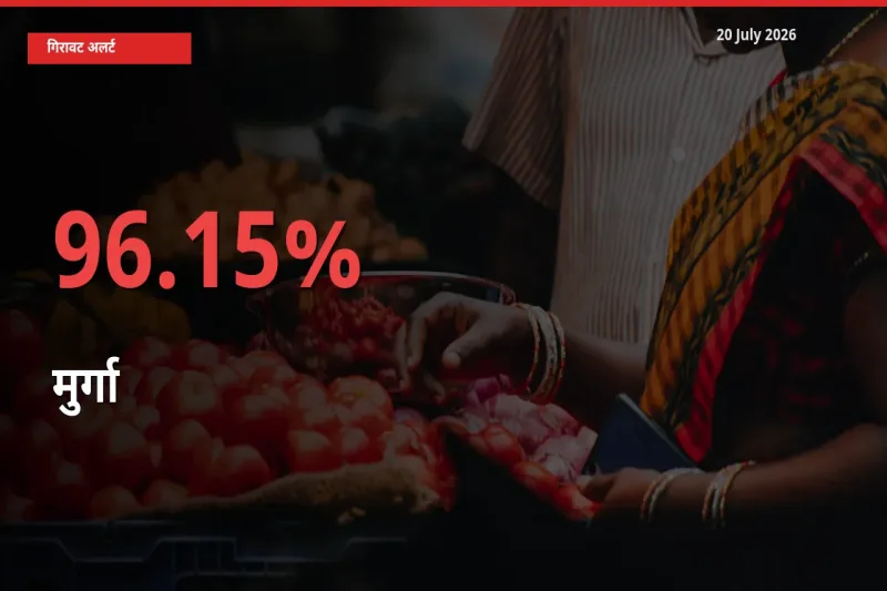 आज का मंडी भाव: मुर्गा के दाम मंडी में 96.15% नीचे