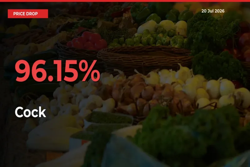 Why Cock Prices Fell 96.15% in a Day at Mandis