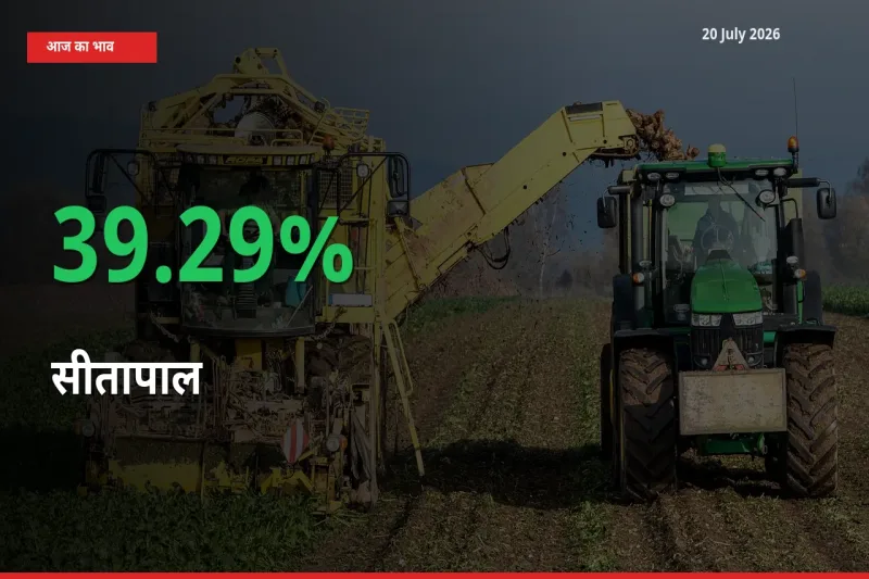 तेज़ तेजी! मंडी में सीतापाल के दाम 39.29% चढ़े