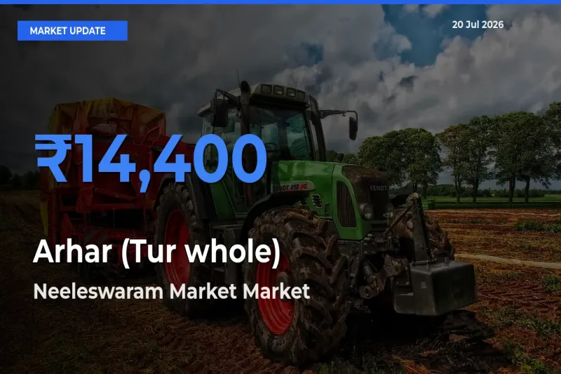 Neeleswaram Market Tops Arhar (Tur whole) Rates – July 20 Market Update