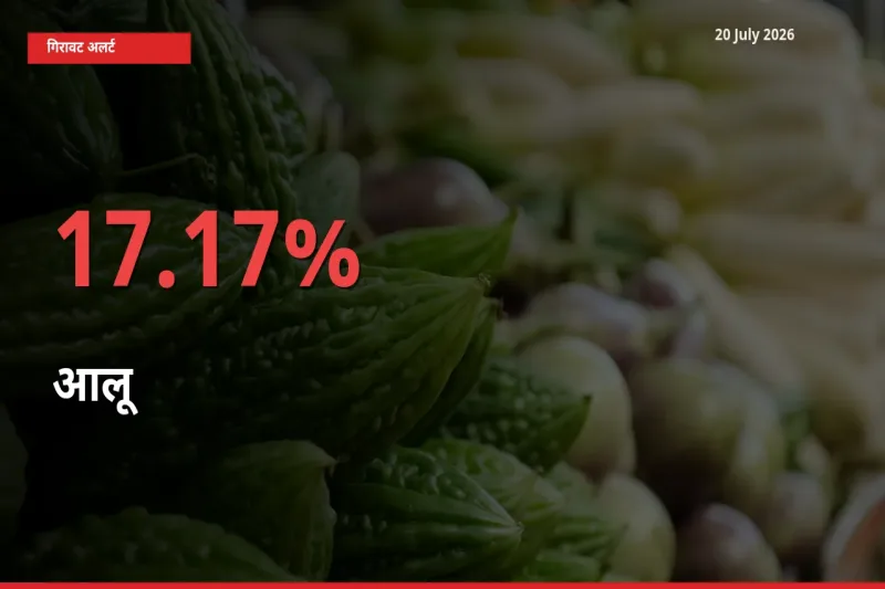 बाज़ार संकेत: आलू के भाव मंडी में 17.17% नीचे