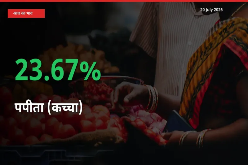बाज़ार संकेत: पपीता (कच्चा) के भाव मंडी में 23.67% ऊपर