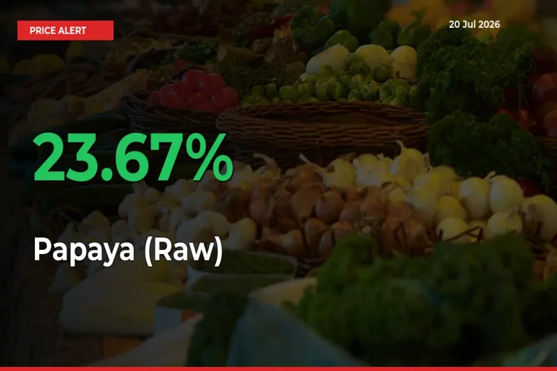 Papaya (Raw) Rises 23.67% at Mandis