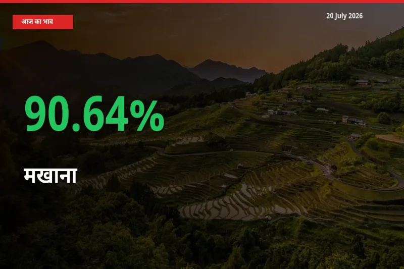 20 July अपडेट: मखाना के दाम मंडी में 90.64% उछले