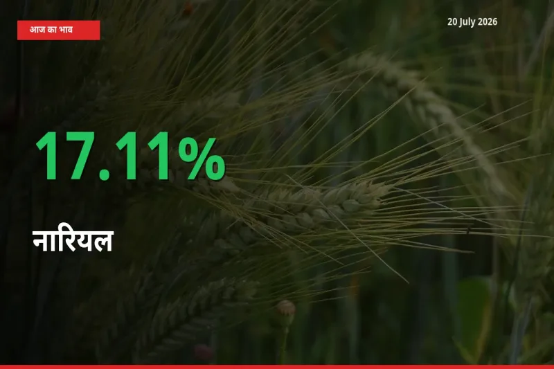 20 July अपडेट: नारियल के दाम मंडी में 17.11% उछले