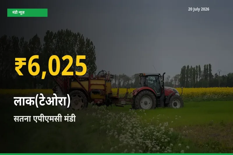 आज का मंडी भाव: सतना एपीएमसी में लाक(टेओरा) सबसे ऊँचे स्तर पर