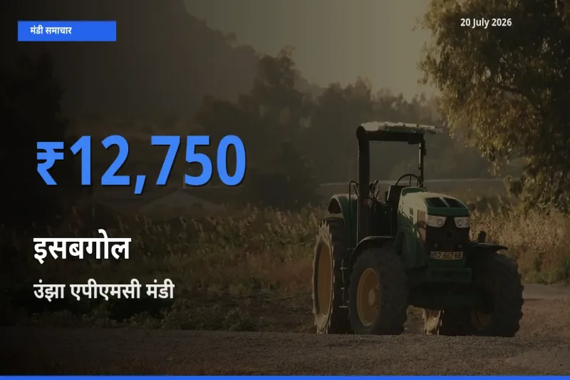 किसानों की पसंद बना उंझा एपीएमसी, इसबगोल के सबसे अच्छे दाम