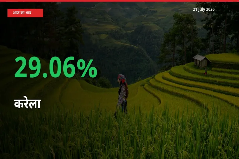 21 July अपडेट: करेला के दाम मंडी में 29.06% उछले