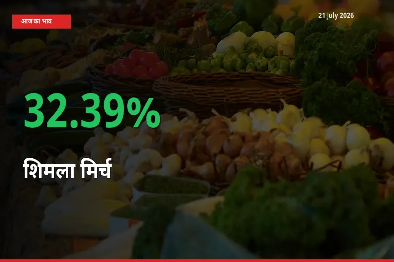 स्थानीय मंडी में शिमला मिर्च के दाम अचानक 32.39% उछले, किसान सतर्क