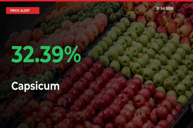 This Mandi Records 32.39% Jump in Capsicum Prices