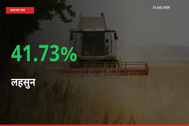 लहसुन 41.73% उछला, मंडी