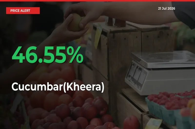 Cucumbar(Kheera) Rises 46.55% at Mandis