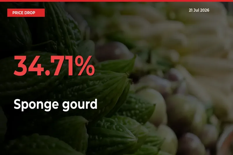 34.71% Drop in Sponge gourd Prices – Mandi Sees Sudden Fall