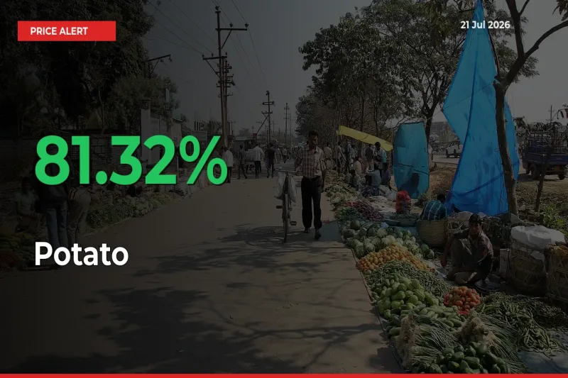 This Mandi Records 81.32% Jump in Potato Prices