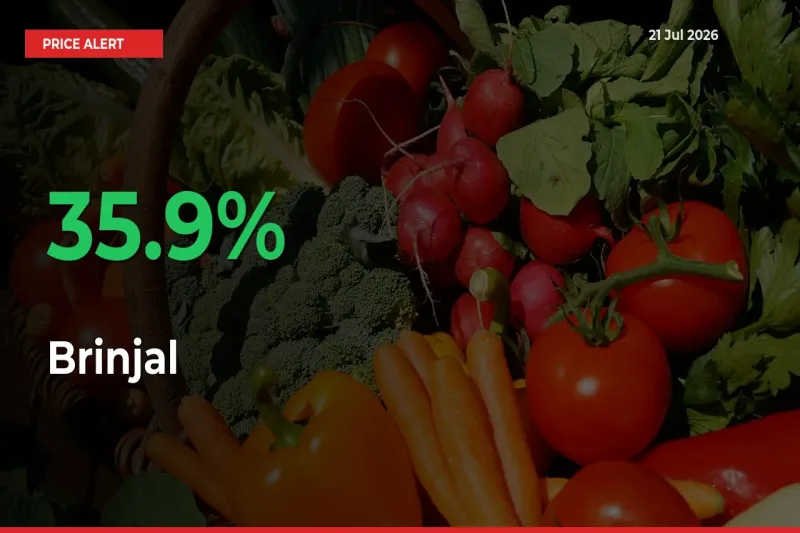 Big Rally! Brinjal Climbs 35.9% in 24 Hours at Top Mandis