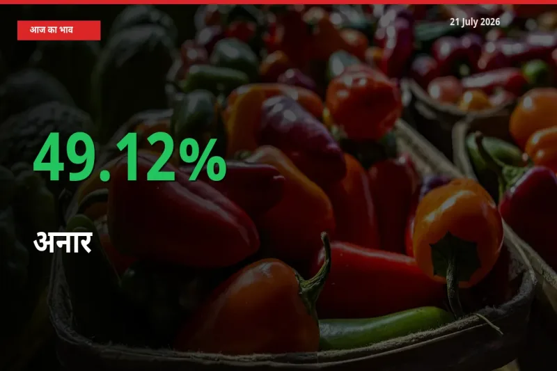 अनार के दाम प्रमुख मंडी में 49.12% बढ़े, 24 घंटे में बड़ा बदलाव