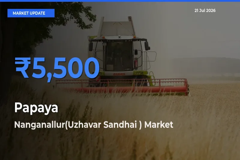 Nanganallur(Uzhavar Sandhai ) Tops Papaya Rates – July 21 Market Update